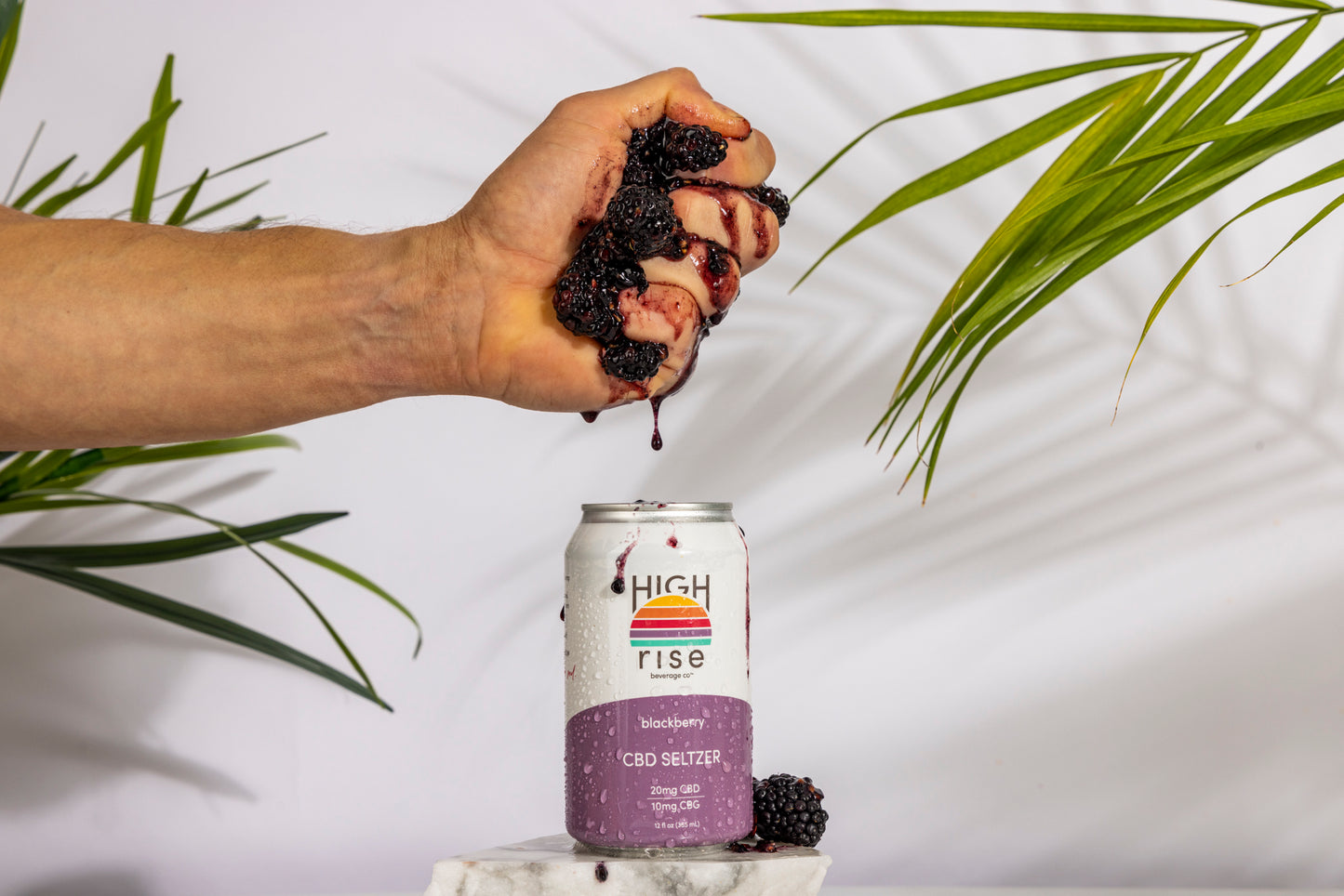 High Rise Blackberry CBD Seltzer 8