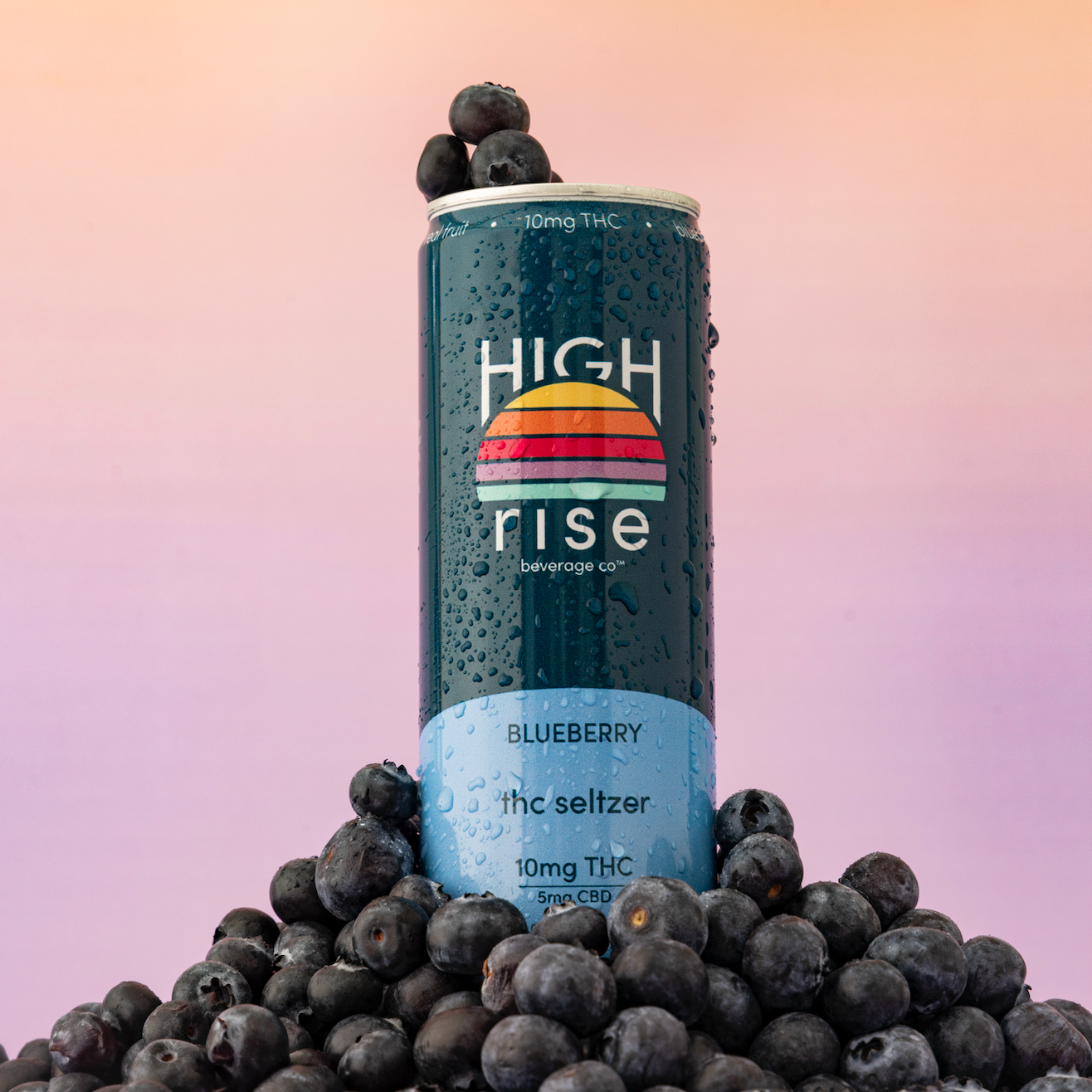 Can of High Rise Blueberry THC Seltzer surrounded by blueberries on a gradient background