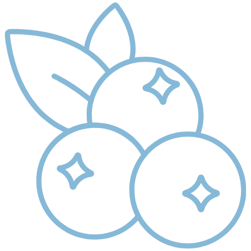 Blueberry, 5mg THC Seltzer (4-pack)